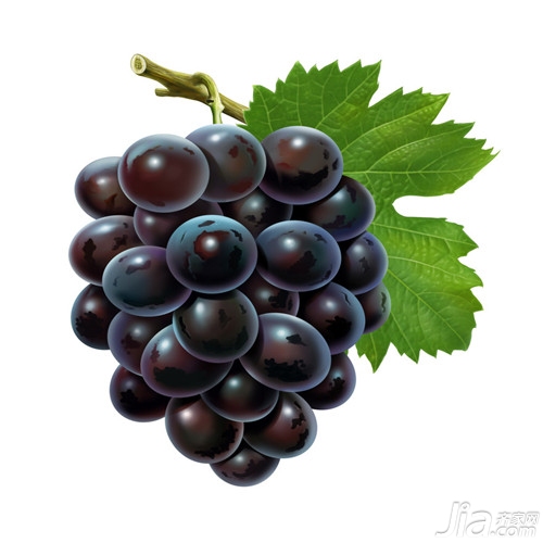 葡萄是怎么种植的 葡萄种植方法