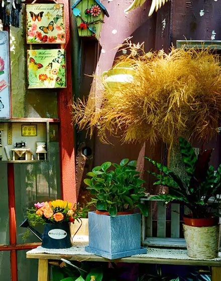 花园,露台花园,