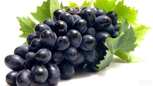 葡萄的种类 黑葡萄的功效与作用