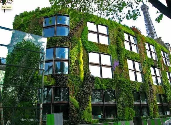垂直花园，城市绿化新概念