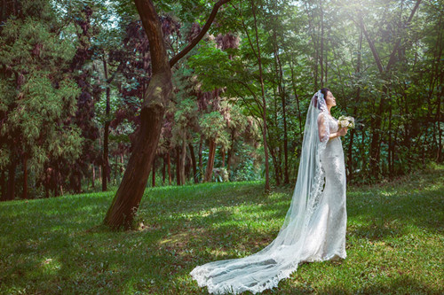 北京植物园_植物园婚纱照