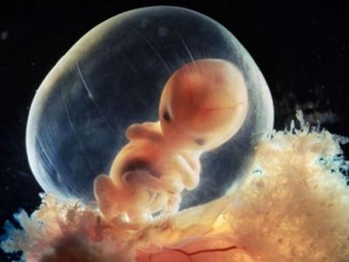 6个月的胎儿有啥变化 这些变化孕育了一个小生命的成长_母婴知识_学堂_齐家网