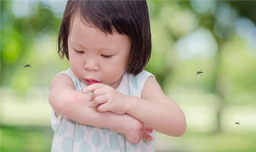 宝宝被蚊子咬了怎么办 被蚊子咬了怎么消肿