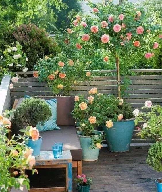 别看阳台小,利用好了,也能变成一个小花园