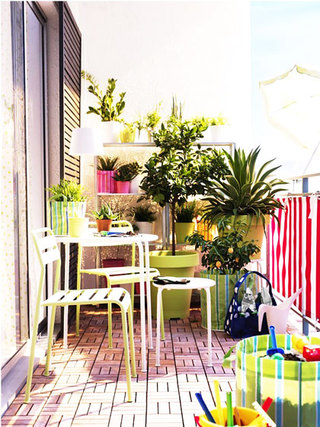 现代简约风格阳台室内植物图片