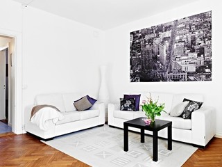 欧式风格黑白沙发背景墙设计