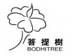 北京菩提树装饰工程有限公司