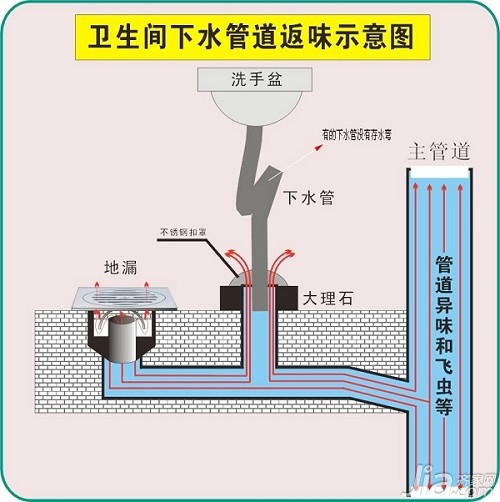 便池下面的管道结构图图片