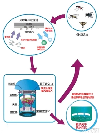 光触媒灭蚊灯价格