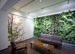 绿植墙装扮清新客厅