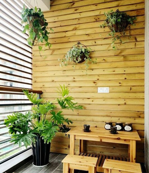,背景墙,绿色,室内植物,小清新