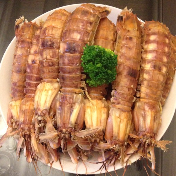 濑尿虾种类图片