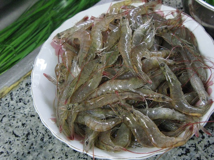 河虾