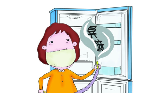 冰箱需要经常清理的地方有哪些？