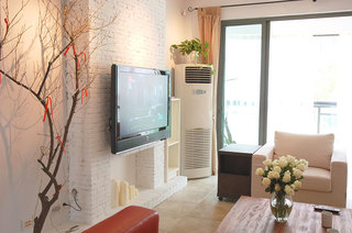 一居室小户型装修图客厅电视背景墙设计