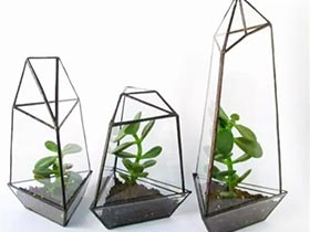 玻璃与绿植更配 11个创意玻璃绿植设计