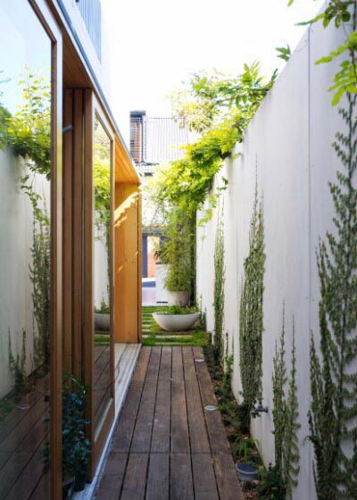 ,室内植物,花园,封闭阳台