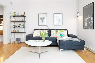 37.5平米单身公寓小户型沙发图片