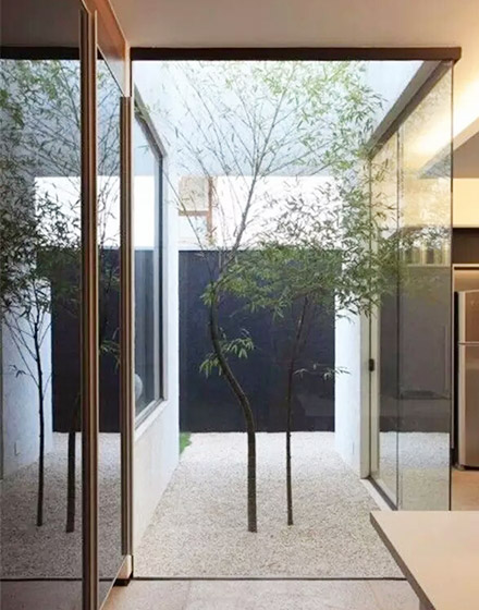 ,庭院,绿色,室内植物