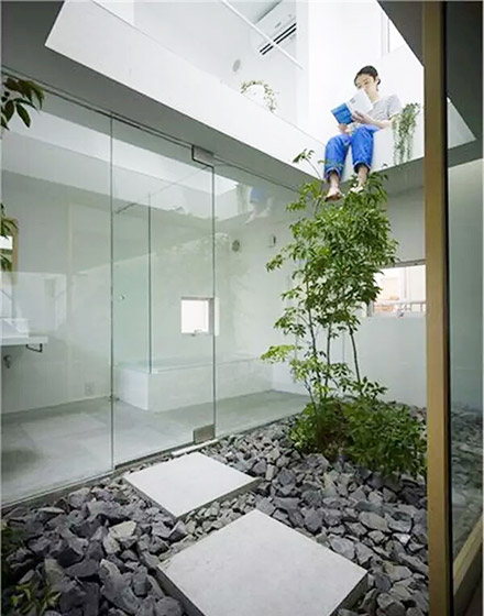 ,庭院,绿色,室内植物