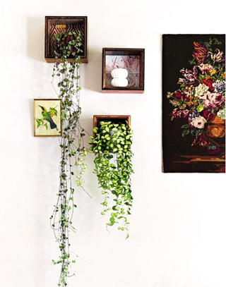 创意绿植背景墙装饰图片