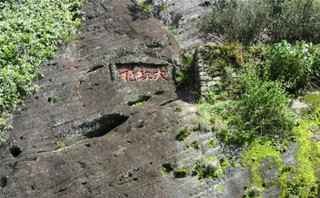 武夷山大红袍品牌  大红袍鉴别方法