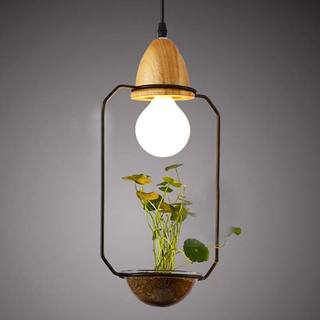 创意植物吊灯装修装饰效果图