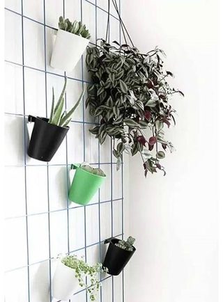 植物背景墙装修装饰效果图