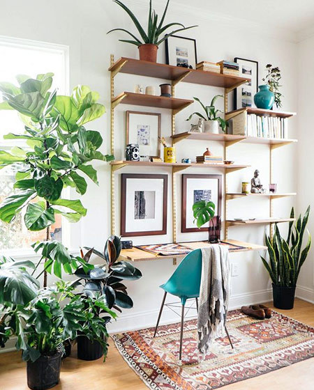 10个清新室内植物摆放图片 把自然请进家_齐家网装修效果图