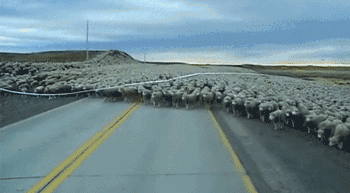 昆明人挺住!有几个坏消息要告诉你们!还好最后一个是好消息!