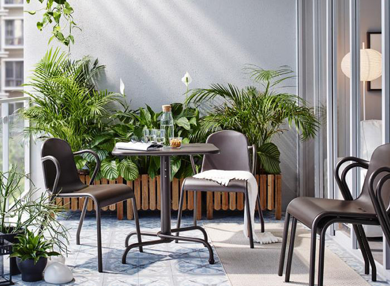indoor-plants-designrulz-22