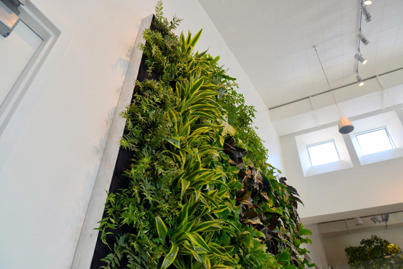 plants-on-walls_designrulz-11