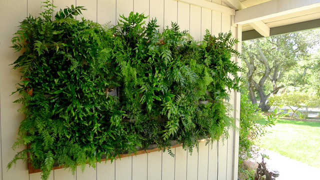 plants-on-walls_designrulz-19