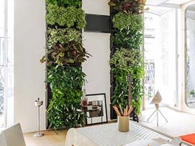 大大绿色森林  10款植物背景墙装修图