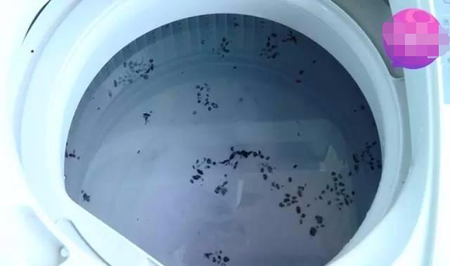 在昆明入住两年，洗衣机一直没洗过，今天一清洗才发现原来这么脏！
