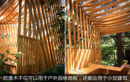 优选防腐木地板 打造精致园艺式阳台