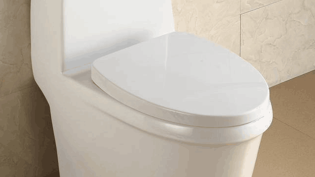 马桶安装不容小觑，如果有纰漏，你将拥有一个臭气熏天的卫生间！