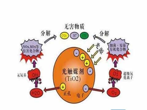 捕捉剂.jpg