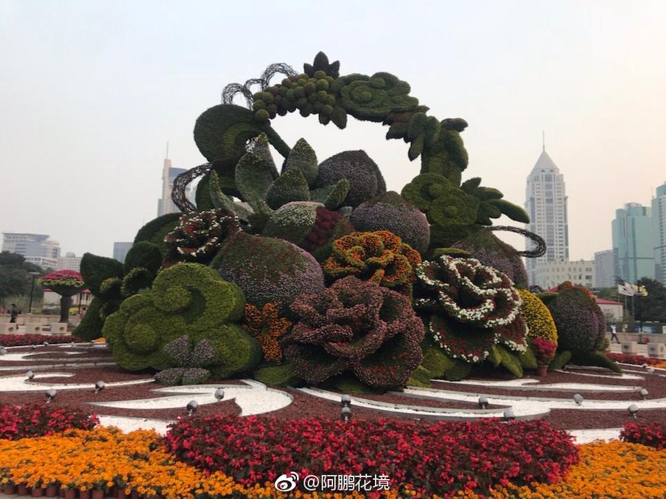 上海辰山植物园好玩吗_上海辰山植物园攻略_辰山植物园有月票吗