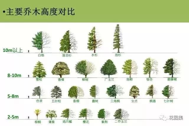 首先你要对植物本身了如指掌,比如植物高度,树形,色彩,季相等等