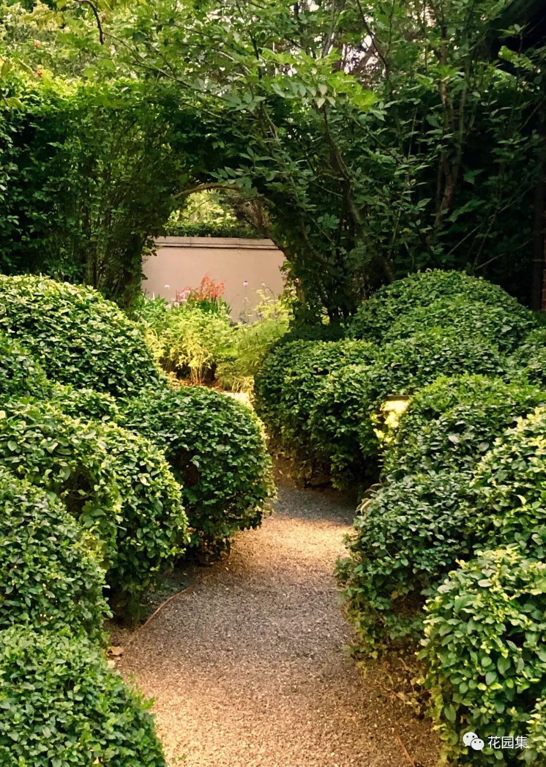 园集奖最佳作品 一座有着绿篱迷宫的英式花园,满足了一年四季的色彩