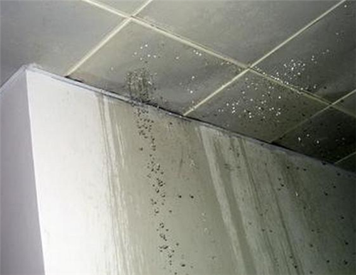  厕所天花板漏水 厕所屋顶渗水怎么处理