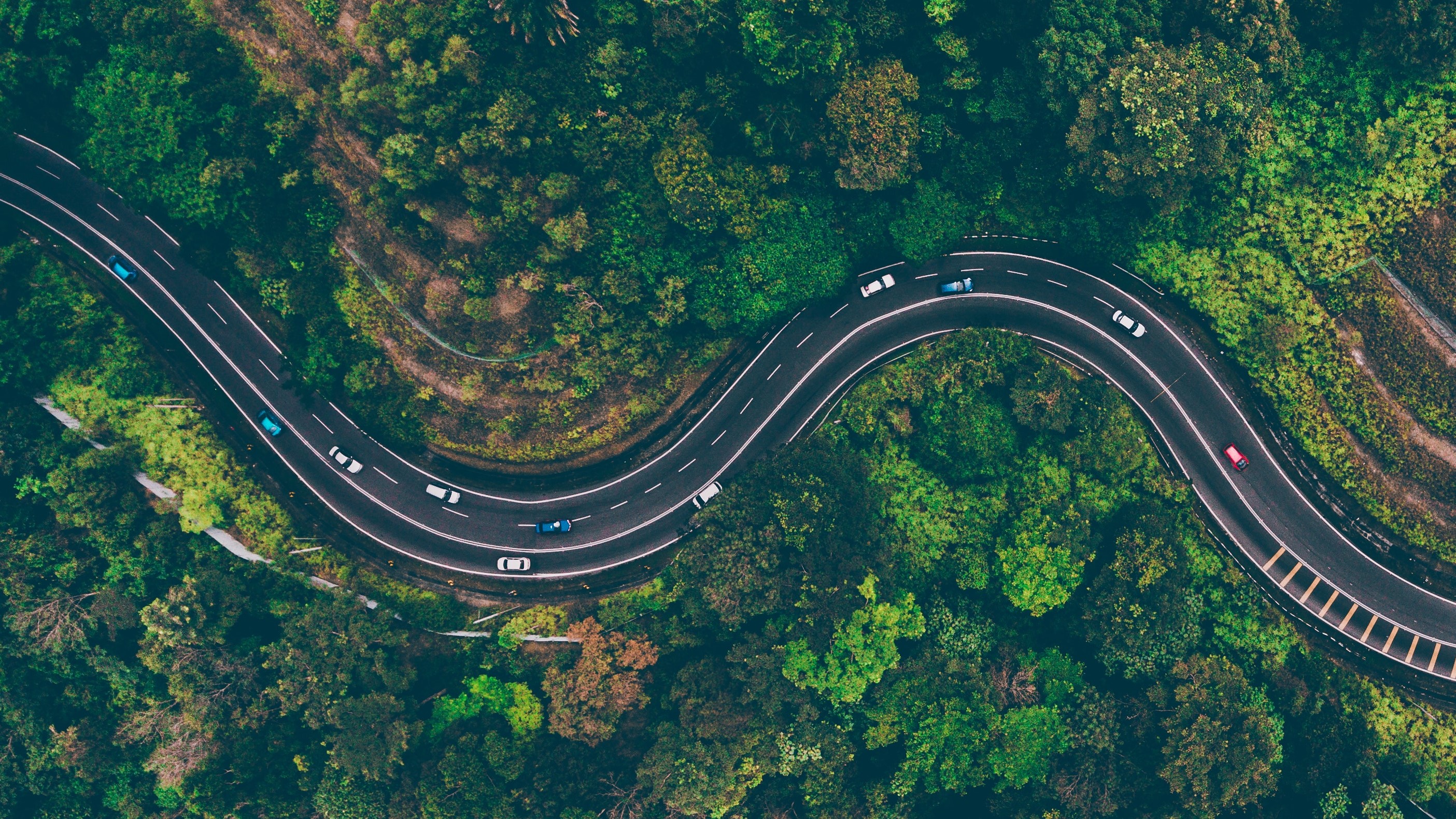 aerial-view-of-road-in-the-middle-of-trees-1173777.jpg