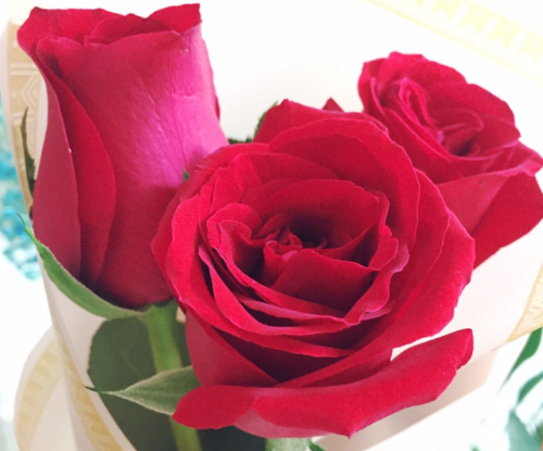 三朵玫瑰花代表什么意思女人送三朵玫瑰花是什么意思