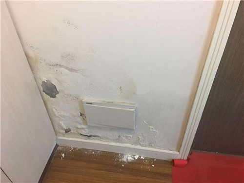 房间墙壁渗水发霉潮湿怎么处理